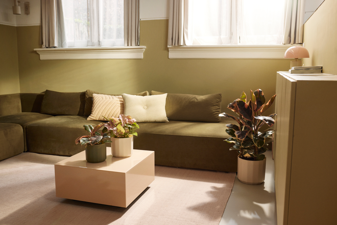 facet round 26cm verde té